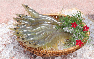 CREVETTES VANNAMEI CONGELÉES DE QUALITÉ SUPÉRIEURE EN GROS – FOURNISSEUR DE PRODUITS DE LA MER FRAISSES DU VIETNAM - Product Image 2