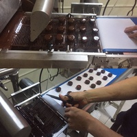 Machine à glaçage au chocolat, équipement de glaçage pour desserts, machine de transformation du chocolat pour boulangerie et restaurant