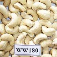 Échantillon Gratuit de Noix de Cajou Entières Blanches de Qualité Supérieure W320 W240 W210 W180, Prix Abordable, Snack Séché, Certifié Vietnam AFI, Marque Agrikim
