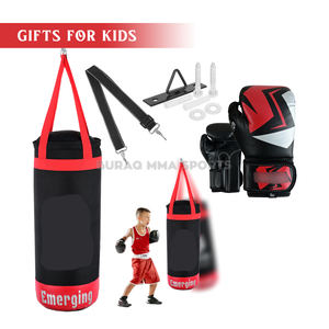 Kit de Boxeo para Niños, Guantes de Entrenamiento y Juego de Saco de Boxeo para Principiantes - Product Image 1