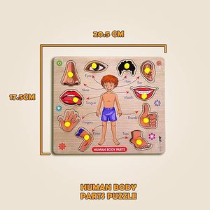Rompecabezas de partes del cuerpo, juguetes de madera para niños mayores de 3 años, rompecabezas para adultos, juguetes de aprendizaje para bebés, juguetes educativos para niños de 2 años, juego de mesa - Product Image 3
