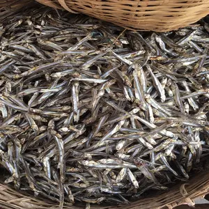 Trockener Sardellen fisch/Getrocknete Sprotten Vietnam AD Trocken fisch mit 2 Jahren Haltbarkeit Getrocknet Gut Sonne Meeres früchte-WhatsApp