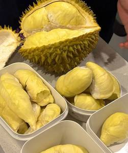 VDELTA Frozen Durian Pulp – Premium Vietnam Quality | OEM Export - Product Image 1