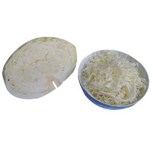 Machine à couper les légumes-feuilles (chou, épinards, oignon vert) motorisée en acier inoxydable résistant à l'eau FM0003 - Product Image 5