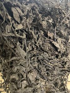 ใบและก้านหญ้าเจลลี่ดำแห้ง (Mesona Chinensis) ยี่ห้อเวียดเดลต้า บรรจุถุงใหญ่ สำหรับตลาดประเทศไทย ได้รับการรับรองมาตรฐาน HACCP ลิลลี่ - Product Image 5