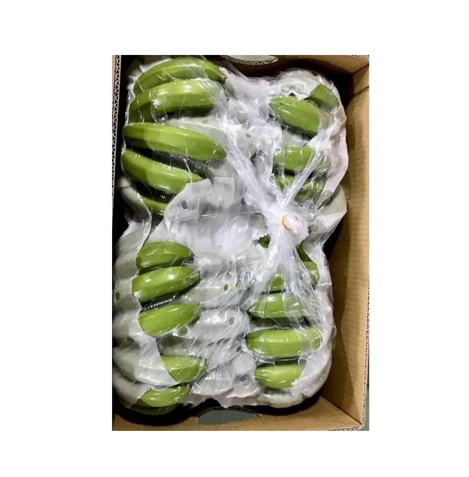 Best 100% High Quality Green banana Fresh Cavendish banana Cheap prices for hot sales whatsapp +84587176063