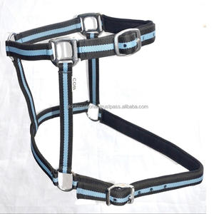 Licou en nylon durable à rayures bicolores fait à la main avec accessoires réglables en acier inoxydable pour chevaux - Product Image 5