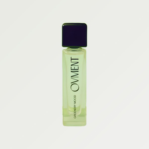 Perfume para coche Obeument Greenery Mood, aceite perfumado en roll-on de 10 ml, aceite aromático para la elaboración de perfumes - Product Image 1