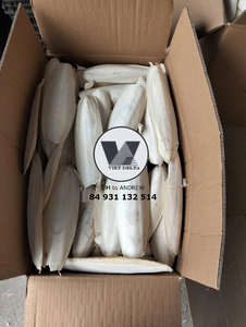 Polvo de Hueso de Sepia Natural Puro de Alta Calidad, Harina de Hueso de Sepia Sostenible para Reptiles, Suplemento de Calcio para Tortugas, Paquete de 5 lbs - Product Image 5