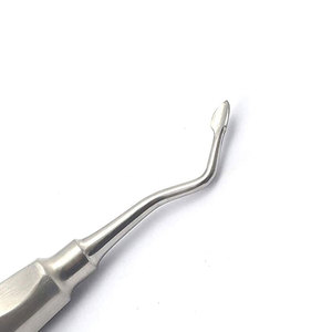 เครื่องมือผ่าตัดรากฟันแบบมืออาชีพ รุ่น Right Elevator Dental Apical Root Surgical Instruments Class II สีเงิน ด้ามจับตามหลักสรีรศาสตร์ ใช้งานได้อย่างมีประสิทธิภาพ - Product Image 3