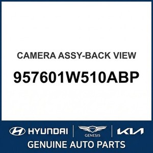 Rio Nouvelles pièces et accessoires pour voitures et camions 957601W510ABP - Product Image 1
