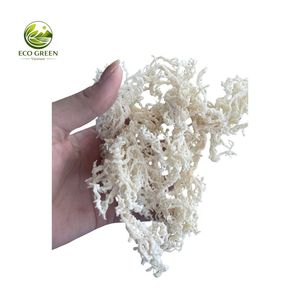 Mejor Precio Musgo Marino Seco de Primera Calidad, Musgo Irlandés Dorado Crudo Secado al Sol, Algas Silvestres, Venta al por Mayor a Granel, Fabricante - Product Image 3
