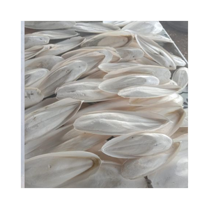 Os de Seiche Naturel Marque Blanche pour Magasins d'Articles pour Animaux - Product Image 4