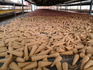 Conos de Incienso Naturales Sambrani de Glovel Cup (Tamil Nadu) con Semillas de Anís Estrellado para Meditación Aromática y Bienestar - Product Image 2