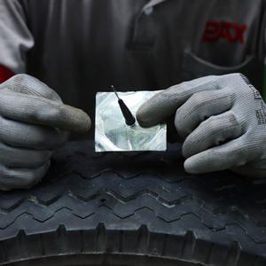 Mushroom <b>Plug</b> Patch - Product Image 2