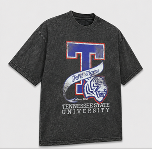 Ropa de la Universidad Estatal de Tennessee – Camiseta gráfica extragrande personalizada con efecto vintage lavado - Product Image 4