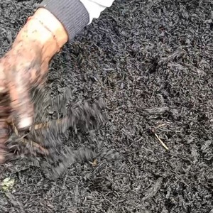 Biochar 80% Engrais Biologique Organique en Granulés Améliore la Santé du Sol et Retient le Carbone - Product Image 3