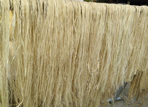 Fibre de banane écologique pour l'artisanat et l'industrie textile durables - Product Image 4