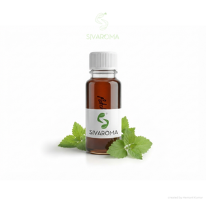Premium Quality <b>Patchouli</b> Oil for Fragrance Applications, Perfume Manufacturing, Cosmetic Products, Personal Care Brands, B2B - Product Image 5