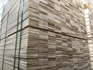 Mejor Precio en Madera Contrachapada LVL de Primera Calidad Fomex Greenwood (Acacia y Eucalipto) para Palés de Almacén y Construcción - Product Image 5