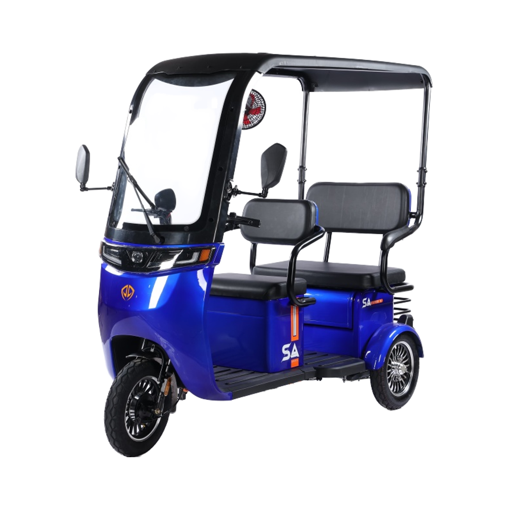 2025 CE New Tricycle Electric Bike Taxi Handicap Scooter 800w 48V60V Europe