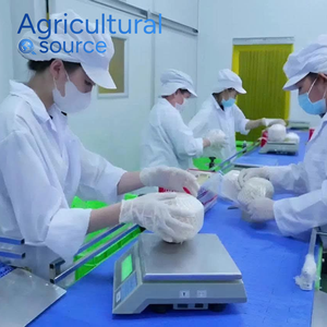 Huile de coco pure Premium 100ml bouteille prix usine approvisionnement en vrac de haute qualité pour l'exportation dans le monde entier offre compétitive - Product Image 6