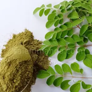 En kaliteli özel etiket antioksidan doğal Moringa Oleifera takviyesi Moringa yaprağı tozu Moringa tozu BD ihracat