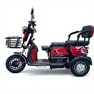 Vente en gros de scooter électrique à 3 roues homologué CE pour personnes handicapées, pliable avec siège arrière, utilisation pour personnes handicapées, 48V <40 km/h - Product Image 2