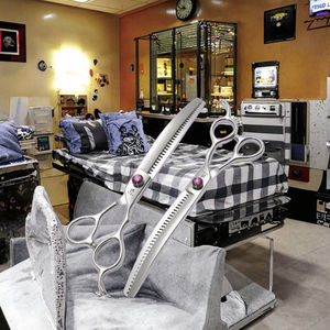 กรรไกรตัดแต่งขนสัตว์เลี้ยงมืออาชีพขนาด 8 นิ้ว รุ่นที่ดีที่สุดปี 2026 กรรไกรซอยขน สแตนเลสญี่ปุ่น คมกริบ แม่นยำ พกพาสะดวก คุณภาพสูง - Product Image 4