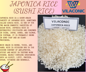 ผู้ผลิตข้าวกลมข้าวญี่ปุ่นกําไรสั้นข้าวเวียดนามราคาดีธรรมชาติ 5% แตก-WA: 84924736232 (นายเคลวิน) - Product Image 2