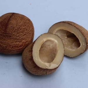 Noix de coco séchée premium, noix de coco naturelle séchée pour la cuisine, la pâtisserie, les collations, les desserts, les confiseries et la préparation des aliments - Product Image 6