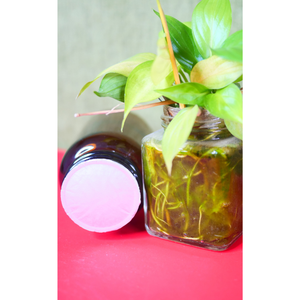 High Quality Heat Seal Liner Cap Die Cut Two Piece Vietnam Safety <b>Bottle</b> Lids Closures Aluminium Foil Composite Sealed - Product Image 5