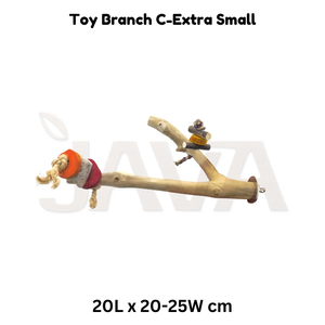 Javawood - Juguete Ecológico para Pájaros, Rama de Madera de Café para Perchas, Talla C XS - Product Image 2