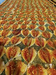 Pescado Seco Scad con Rayas Amarillas de Alta Calidad, Suministro a Granel, Precio Competitivo Global - Product Image 2