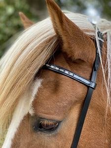 High Quality Breathable Durable Lightweight Icelandic Leather Headstall <b>Brass</b> Fittings Customizable Rub International for <b>Horse</b> - Product Image 2