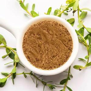 Poudre de feuilles de Brahmi de qualité supérieure, 100 % naturelle, poudre d'herbe de Bacopa Monnieri pour le bien-être quotidien, la concentration et le soutien de la concentration - Product Image 2