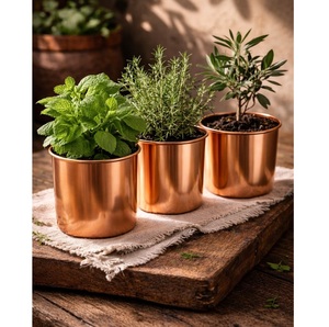 Jardinière en métal noir thermolaqué très demandée, pot de fleurs d'extérieur au design minimaliste pour la décoration de fleurs et de plantes vertes - Product Image 6