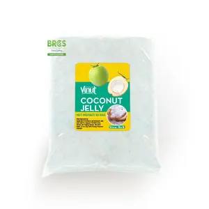 10kg bag VINUT Nata de Coco 8x8mm Vietnam Wholesalers Factories Coconut Jelly