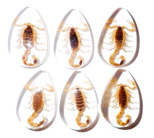 Golden Scorpion Real Specimen Plastic Cabochon Pear Cut <b>Top</b> 46x30 mm Clear Flat Bottom for Crafts and Jewelry Making - Product Image 1