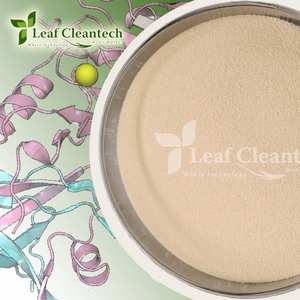 Bromelain Powder Pure Food Enzyme | Enzima de alta calidad para la digestión de proteínas y aplicaciones nutricionales | Proteasa ácida - Product Image 4