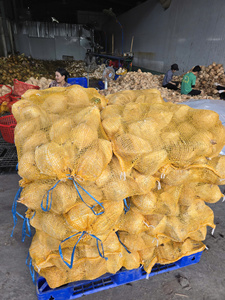 มะพร้าวสดเกรดพรีเมียมแบบกึ่งปอกเปลือก สีน้ำตาลอ่อน สำหรับอุตสาหกรรมอาหารและการปรุงอาหาร ขายส่งจากเบนเต้ ยอดขายดีที่สุด - Product Image 5