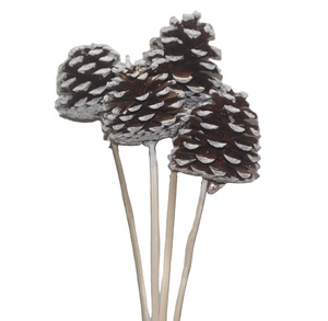 Bâton décoratif en pin botanique à pointe blanche Latoo pour la décoration de la maison, d'aquariums, de projets DIY et de bouquets - Product Image 1