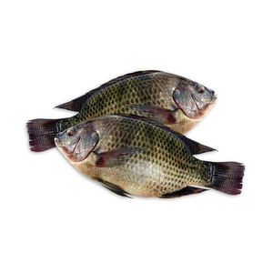 Filete de tilapia, precio al por mayor, filete congelado de 5-7 onzas de pescado tilapia - Product Image 3