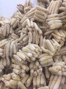 Luffa naturelle 40-45cm, cultivée en ferme au Vietnam, biologique, entière, grandes tailles, sans produits chimiques, pour le bain et la cuisine, luffa du Vietnam - Product Image 6