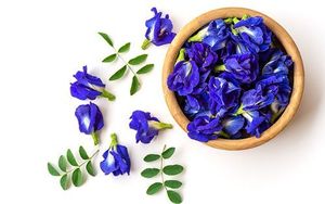 Fleurs de pois papillon séchées au soleil, bleu naturel, pétales entiers, pour thé et boissons, artisanat, vente en gros, origine Vietnam, qualité export. - Product Image 3