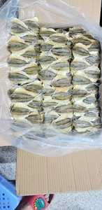 ปลาตากแห้งรสอร่อยแท้ โปรตีนสูง อาหารทะเลสำหรับร้านค้าปลีกและผู้จัดจำหน่ายที่มองหาสินค้าคุณภาพ - Product Image 5