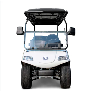 Carrito de Golf Eléctrico de Lujo de Alto Rendimiento con Sistema de Batería de 48V Personalizado, Diseñado para Comodidad y Uso Prolongado - Product Image 1