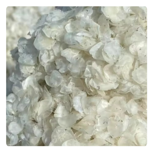 ÉCHELLE DE TILAPIA DÉCALCIFIÉE EN VRAC | ÉCAILLES DE POISSON D'OSSEIN | ORIGINE DU VIETNAM - Product Image 3