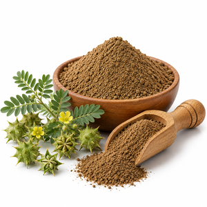 Extracto de Tribulus Terrestris Natural en Polvo de Alta Calidad, Extracto Botánico Herbal Gokhru, Proveedor Mayorista - Product Image 1