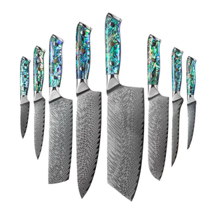 Juego de Cuchillos de Chef Profesionales de Acero Damasco Japonés VG10 con Mango de Resina, Proveedor Mayorista de Fábrica OEM - Product Image 1